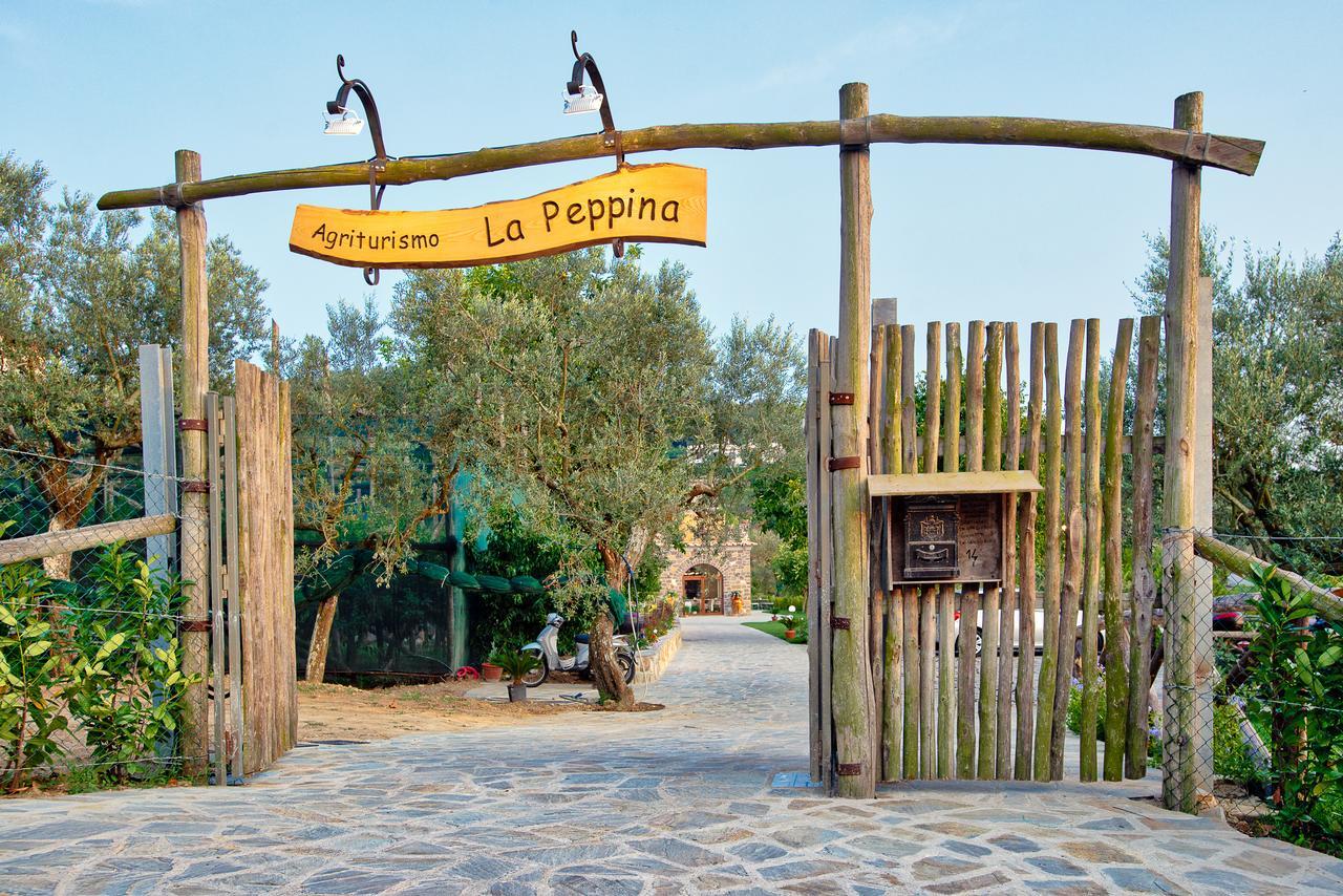 Agriturismo La Peppina Massa Lubrense Exteriér fotografie